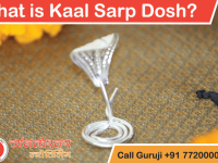 What is Kaal Sarp Dosh or What is Kaal Sarp Yog?