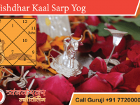 Vishdhar Kaal Sarp Yog Positive Effects, Remedies and Benefits