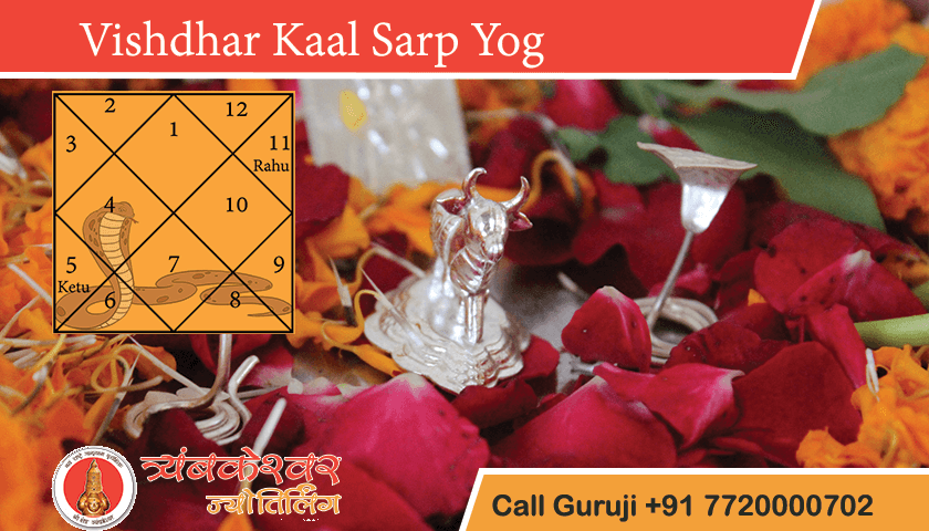 Vishdhar Kaal Sarp Yog Positive Effects, Remedies and Benefits