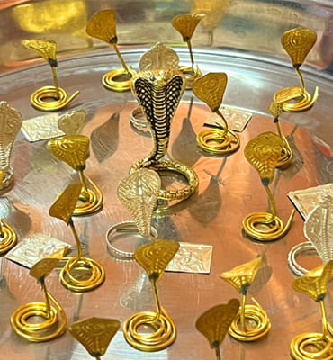 Narayan Nagbali Puja