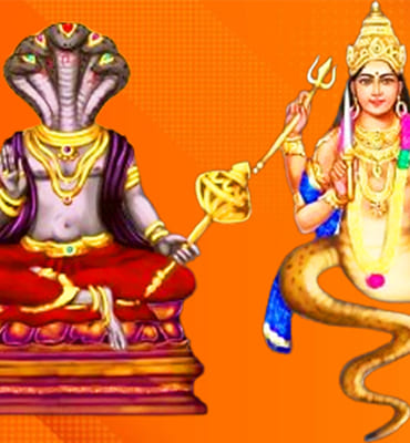 Rahu Ketu Dosh