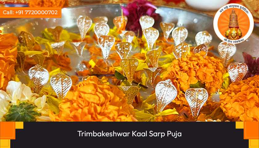 Trimbakeshwar Kaal Sarp Puja
